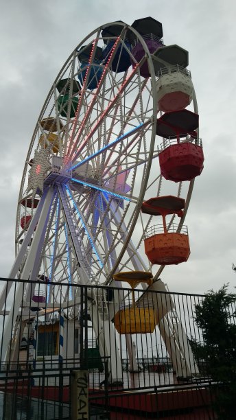 大轮一直图片下载