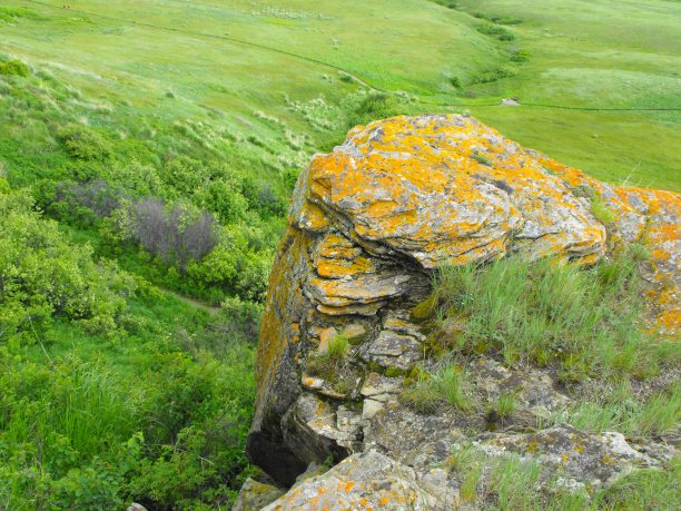 夏天的景观，一个地衣覆盖的岩石露头上方山谷郁郁葱葱的绿色草图片下载