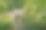 蒙索公园的桥和河与水的倒影。巴黎,法国。图片下载