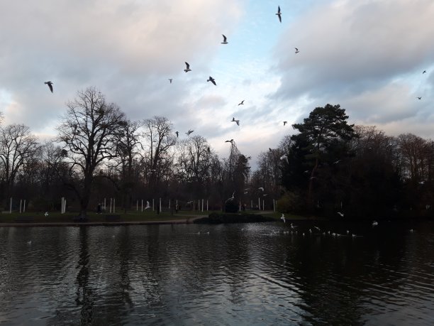 在云中飞行图片下载