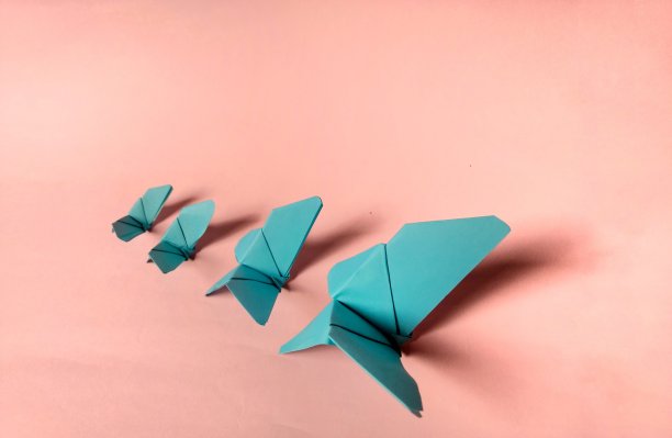 粉红色背景上的蓝色纸蝴蝶。装饰的概念图片下载