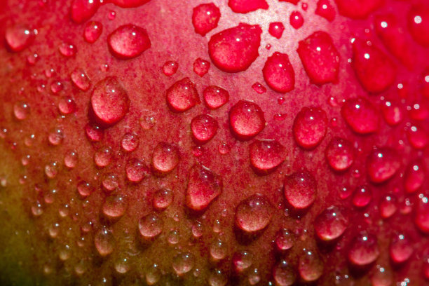 带水滴的苹果图片下载