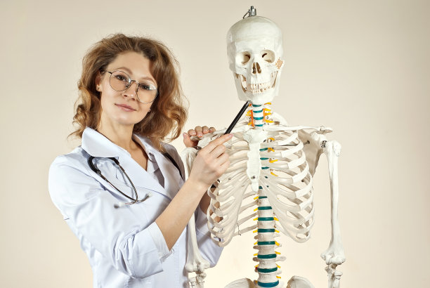穿着白色医疗袍的女人医生与骨架布局。戴着眼镜的医生被隔离在黄色背景上。医生的助手指着骨头。肌肉骨骼系统疾病的研究。图片下载
