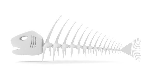 鱼骨头。图片下载