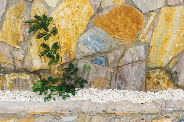 古老的鹅卵石墙和植物梯级图片下载