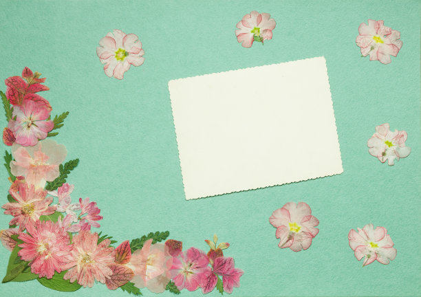 旧相册里的一页是绿色的。剪贴簿元素装饰的叶子，花和花瓣野花。乡村风格的相册页在剪贴簿与相框的照片。图片下载