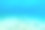 一群鱼在清澈的大海里游泳。素材图片