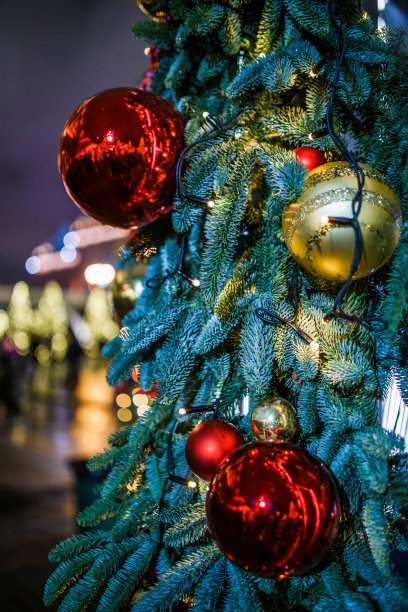 街道上装饰的冷杉树的图片图片下载