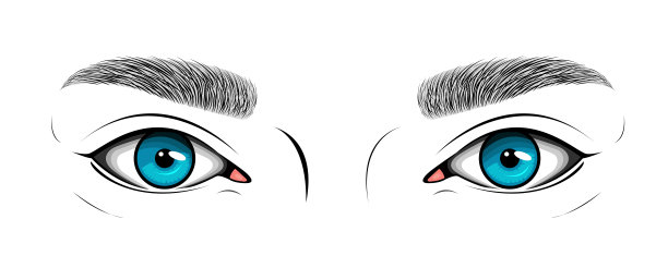 矢量黑白插图与女人的蓝色眼睛和眉毛图片下载