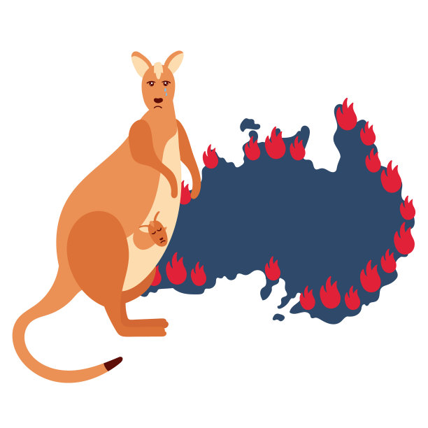 悲伤的袋鼠带着幼崽躲在火堆里图片下载