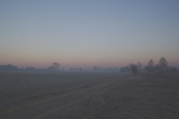 有雾的早晨字段图片下载