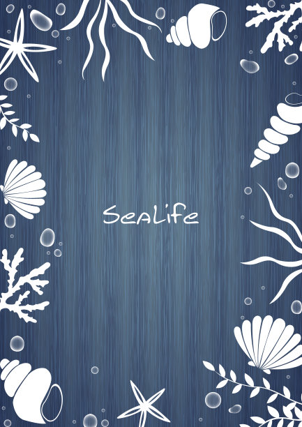 贝壳，海星，海藻，珊瑚和泡沫水木质矢量背景装饰夏季节日。图片下载