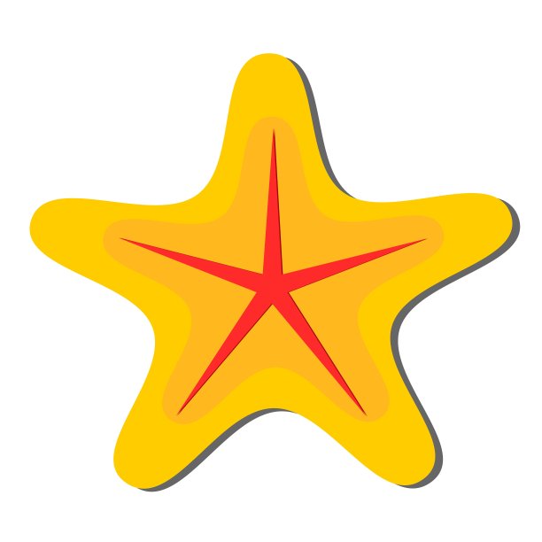 海星图标矢量插图设计。图片下载