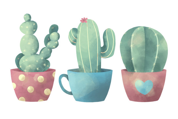 水彩画不同的外来仙人掌植物在花盆的白色背景素材图片