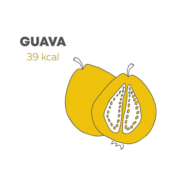 低卡路里食物，健康食物。向量信息图。手绘番石榴。卡通图片下载