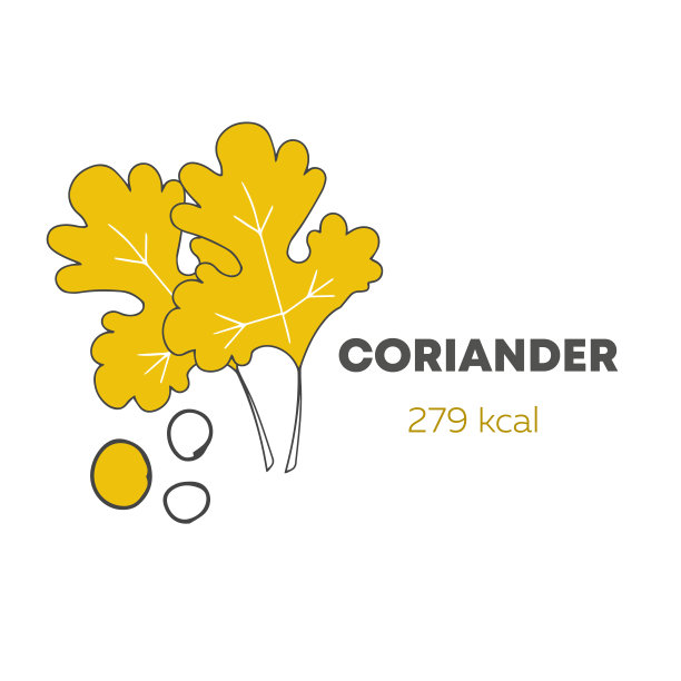 低卡路里食物，健康食物。向量信息图。手绘香菜。卡通风格。图片下载