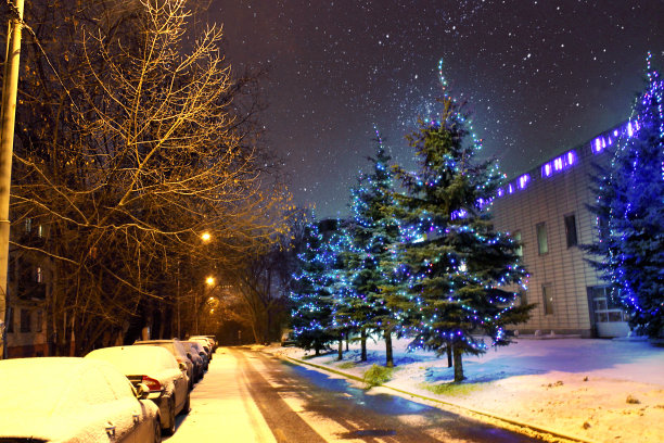星空下的圣诞树图片下载