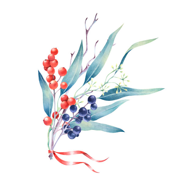 水彩孤立的圣诞花束与桉树和浆果。节日手绘装饰。图片下载