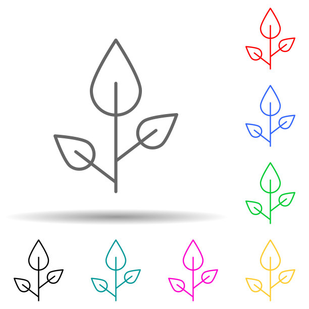 山毛榉多色风格图标。简单的细线，叶和花的轮廓矢量图标，用户界面和用户体验，网站或手机应用图片下载