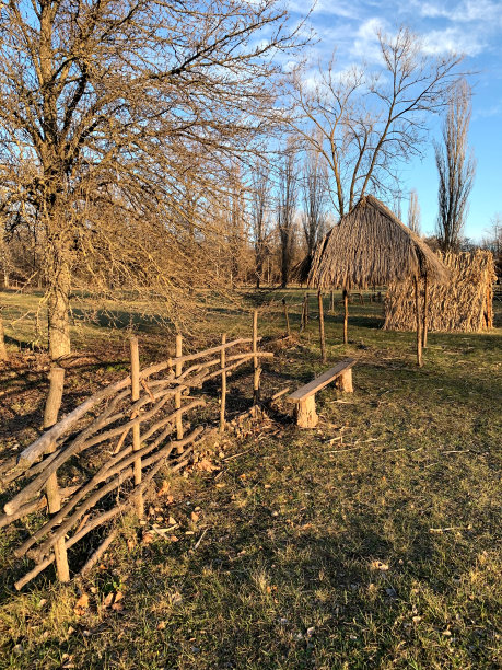 用树枝做成的旧木栅栏。图片下载