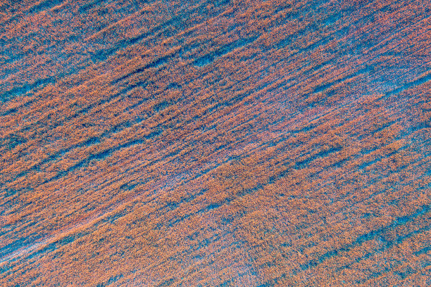 几何麦田的鸟瞰图。抽象的自然背景。蓝橙颜色的图片下载