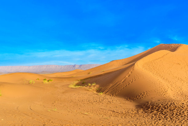景观廷福沙丘，扎戈拉，撒哈拉，摩洛哥。为文本复制空间。图片下载