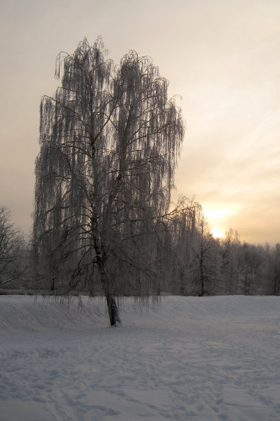 关于有雪的冬天的回忆图片下载