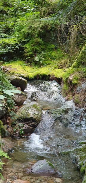 绿色流图片下载