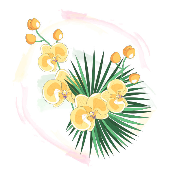 花,花的气味图片下载