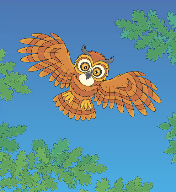 猫头鹰在午夜的天空中飞翔图片下载