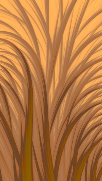 华丽的3 d背景图片下载