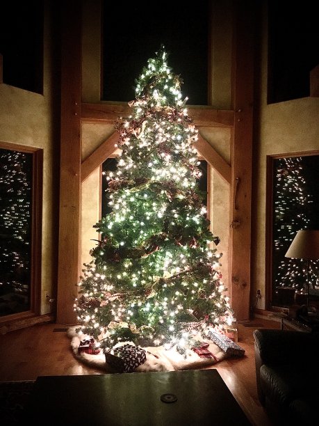 彩灯圣诞树图片下载