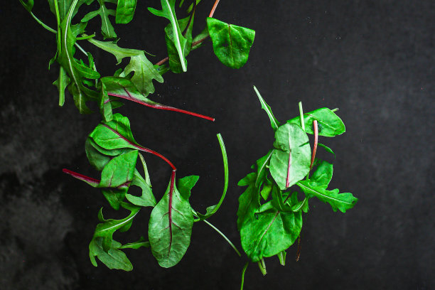 健康沙拉，绿叶沙拉(混合绿色蔬菜，多汁零食，番茄)。食物背景，顶部图片图片下载