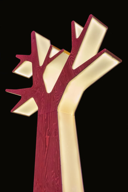 在黑色背景上安装背光树。图片下载
