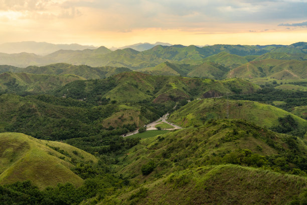 树林照片素材ID：349692804