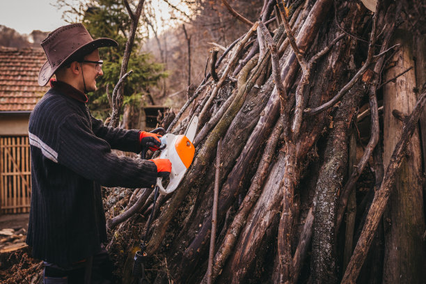 用电锯砍柴图片下载