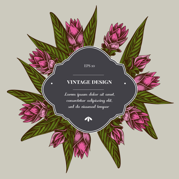 徽章设计与姜黄图片下载