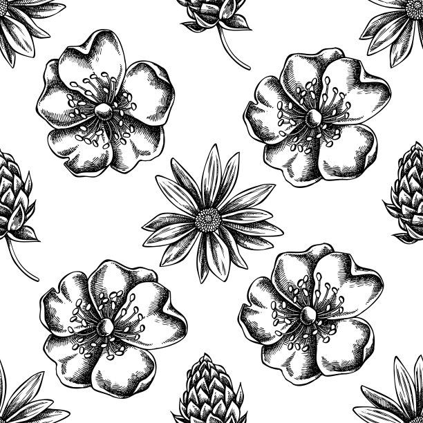 黑白相间的花纹有狗玫瑰、啤酒花、洋蓟图片下载