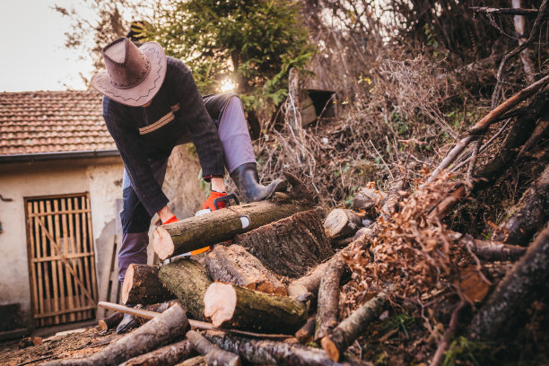 用电锯砍柴图片下载