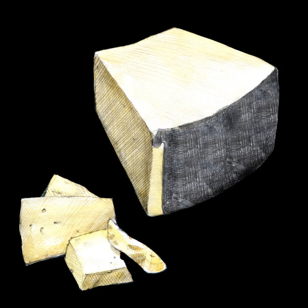 佩科里诺奶酪水彩插图在黑色的背景图片下载