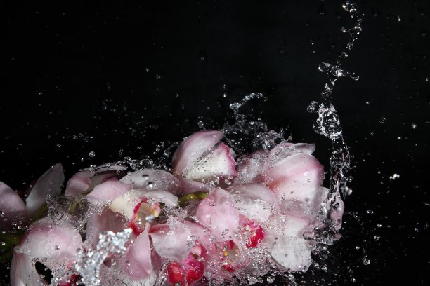 兰花和水花图片下载