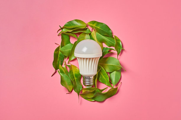 发光的灯泡和散落的新鲜的绿叶在粉红色的背景。节约和替代能源的概念。前视图。特写镜头图片下载