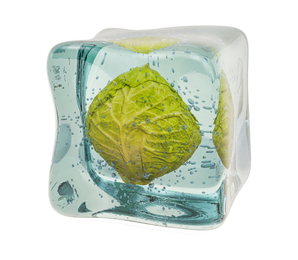 卷心菜冻在冰块中，3D渲染孤立在白色背景上图片下载