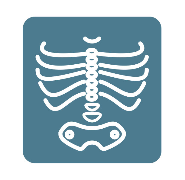x线胸廓与骨盆骨-图标图片下载