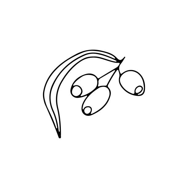 手绘矢量涂鸦插图柳树桉树枝孤立在白色的背景。图片下载