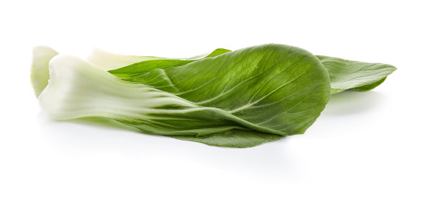 Shangai博克图片下载