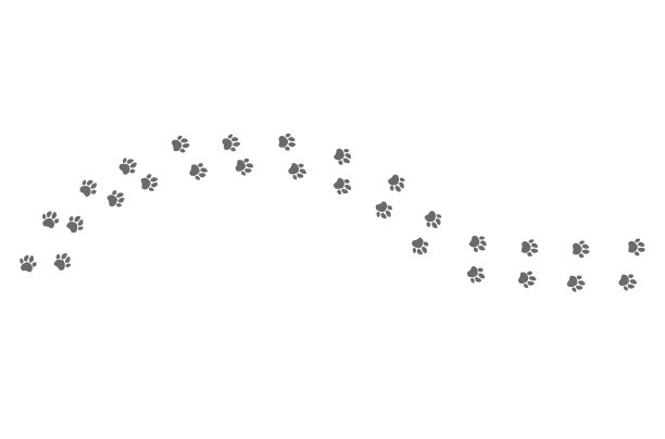 现代矢量插图的狗脚印。狗爪的图标。图片下载