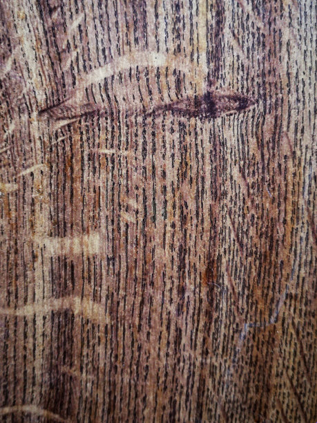 质地，背景:棕色木板图片下载