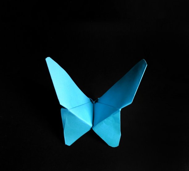 黑色背景上的蓝色纸蝴蝶。装饰的概念图片下载