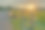 地平线上的沙漠山丘上的日落图片下载